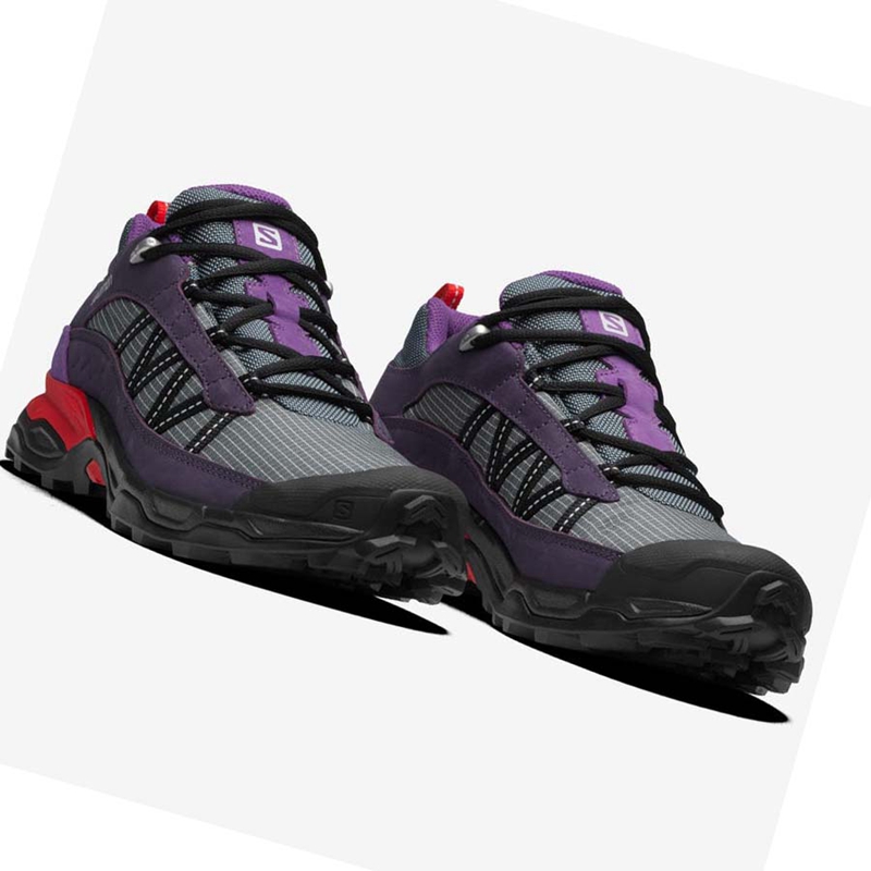 Baskets Salomon SHELTER LOW LEATHER Homme Violette | QLXISOJ-46