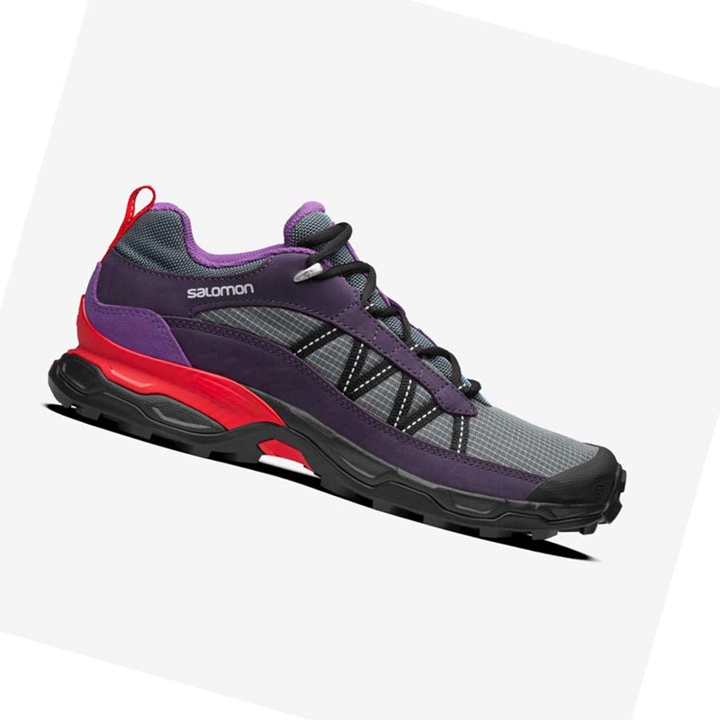 Baskets Salomon SHELTER LOW LEATHER Homme Violette | QLXISOJ-46