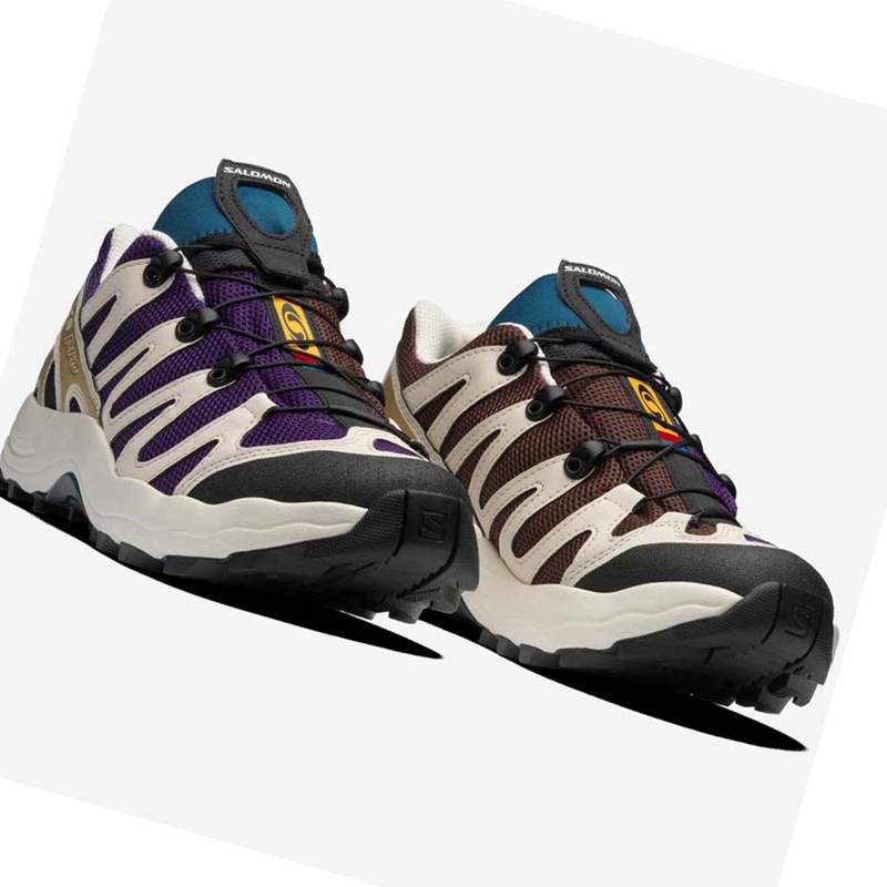 Baskets Salomon XA PRO 1 Homme Violette Chocolat Bleu | HVQCOXT-57