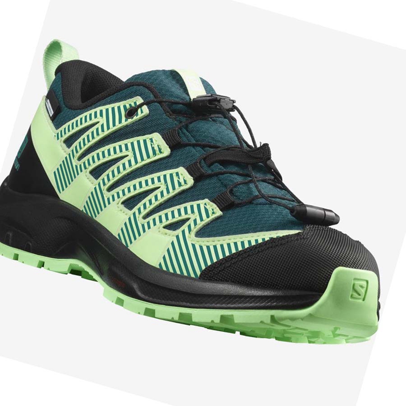 Chaussures Randonnée Salomon XA PRO V8 CLIMASALOMON™ WATERPROOF Enfant Vert | BCKWFZQ-91