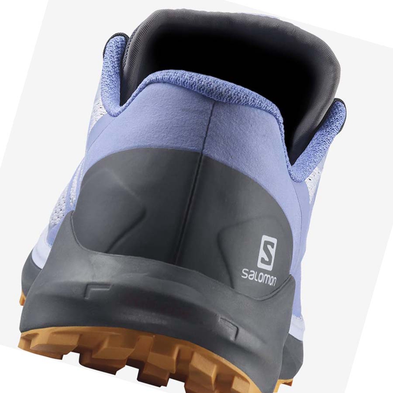 Chaussures Trail Running Salomon SENSE RIDE 4 Femme Bleu | ANKGMHS-34