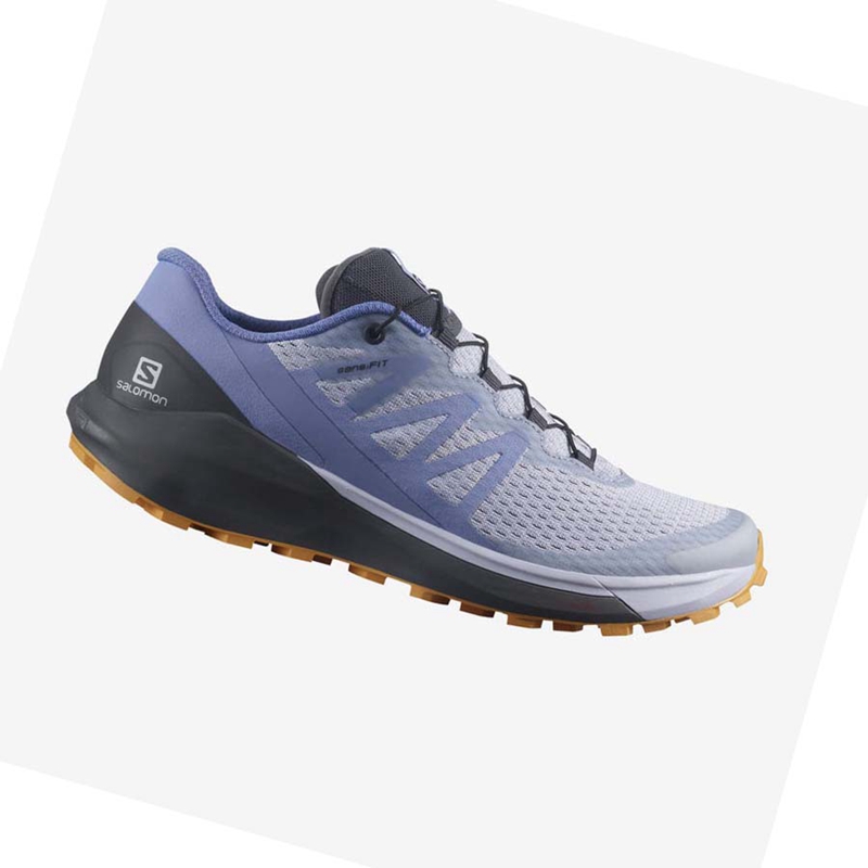 Chaussures Trail Running Salomon SENSE RIDE 4 Femme Bleu | ANKGMHS-34