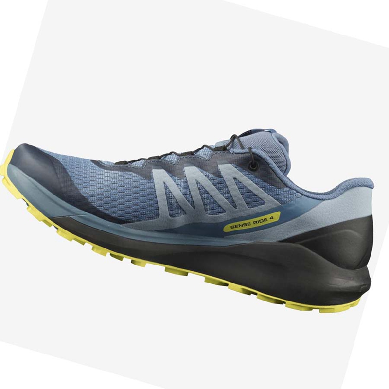 Chaussures Trail Running Salomon SENSE RIDE 4 Homme Grise | ELMCIBH-90