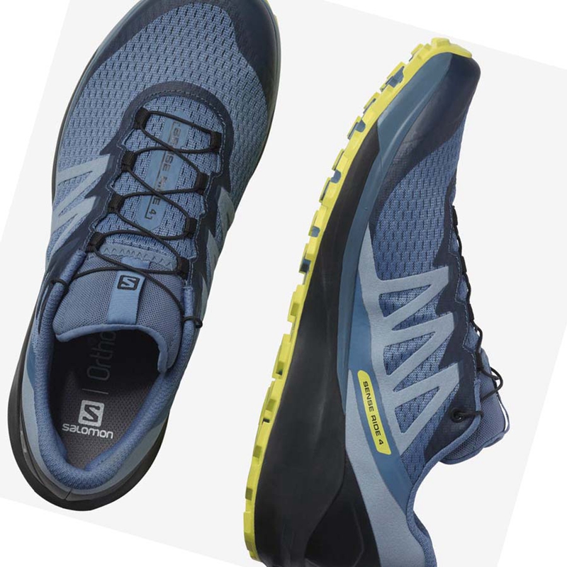 Chaussures Trail Running Salomon SENSE RIDE 4 Homme Grise | ELMCIBH-90