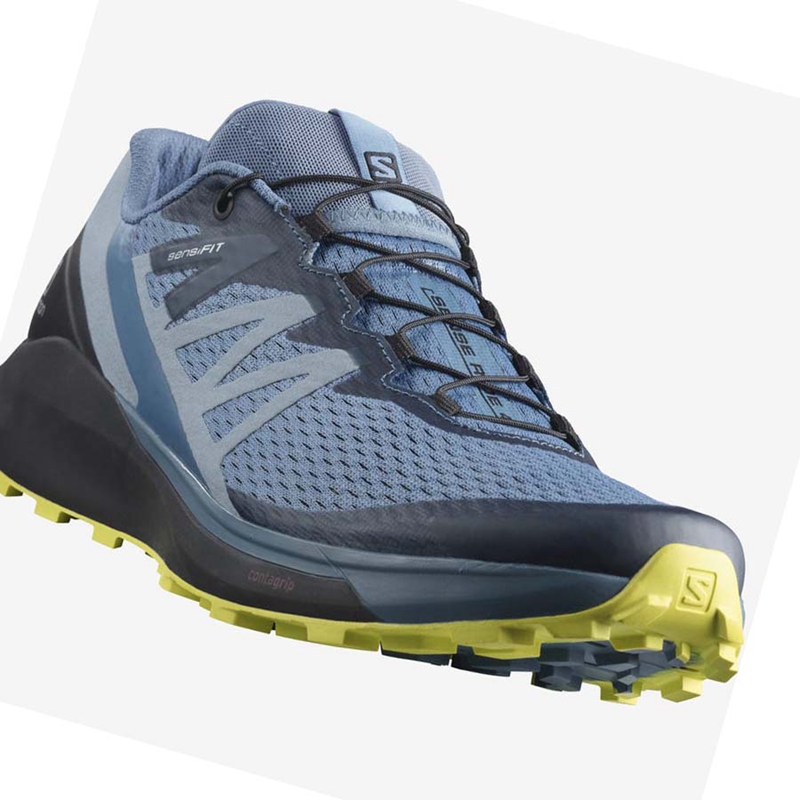 Chaussures Trail Running Salomon SENSE RIDE 4 Homme Grise | ELMCIBH-90