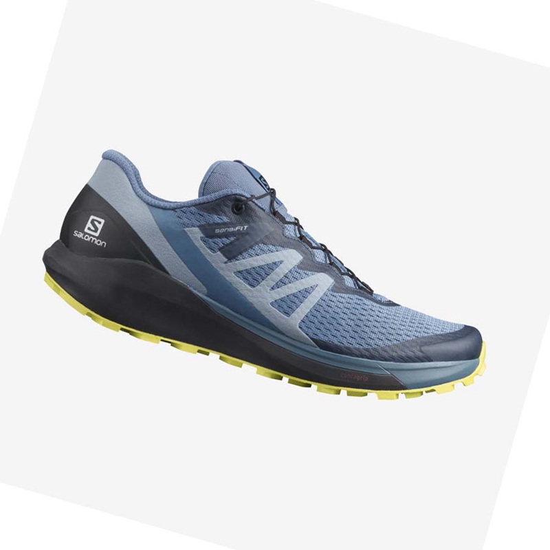 Chaussures Trail Running Salomon SENSE RIDE 4 Homme Grise | ELMCIBH-90