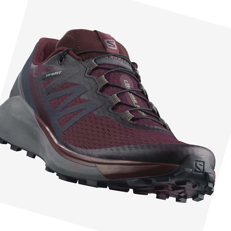 Chaussures Trail Running Salomon SENSE RIDE 4 Femme Violette | NEJZUGA-46