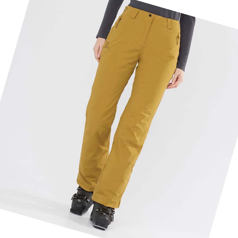 Pantalons De Ski Salomon THE BRILLIANT Femme Marron | ITKPYVE-41