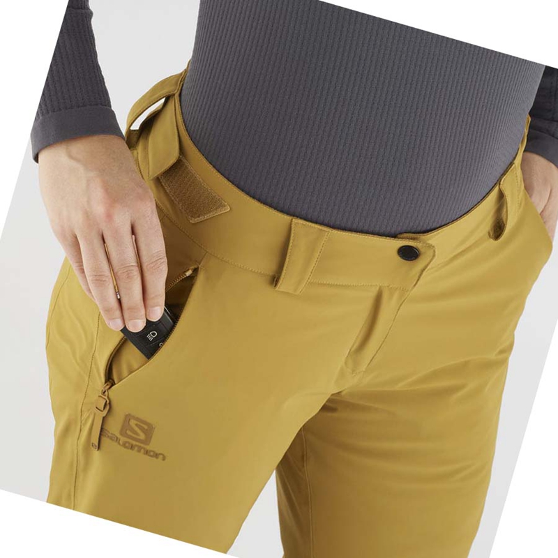 Pantalons De Ski Salomon THE BRILLIANT Femme Marron | ITKPYVE-41