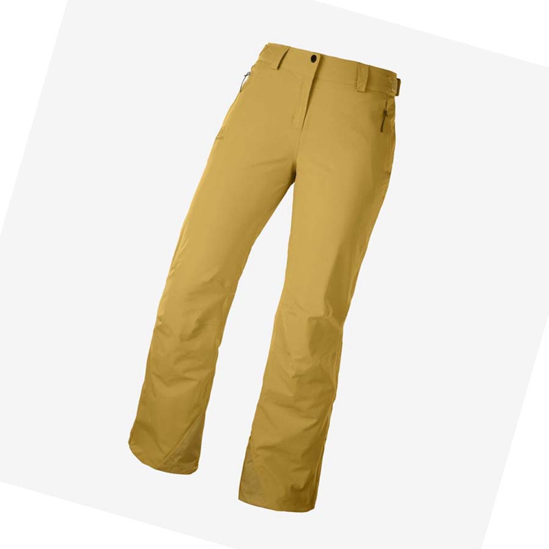 Pantalons De Ski Salomon THE BRILLIANT Femme Marron | ITKPYVE-41