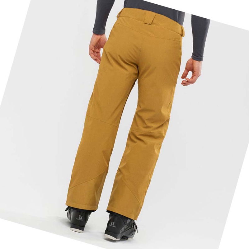 Pantalons De Ski Salomon UNTRACKED Homme Marron | CNTHADW-23