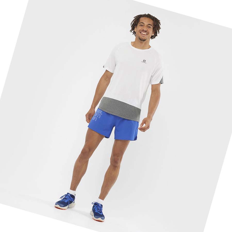 Shorts Salomon CROSS 5'' Homme Bleu | IBRSZNO-05