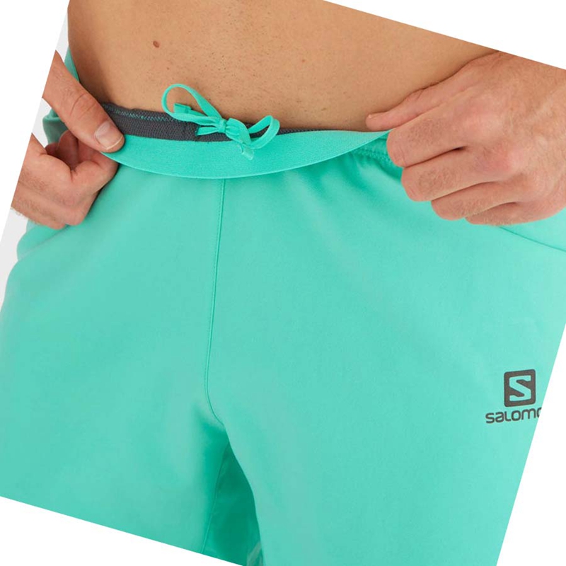 Shorts Salomon CROSS 5'' Homme Menthe | LSDVJQR-39