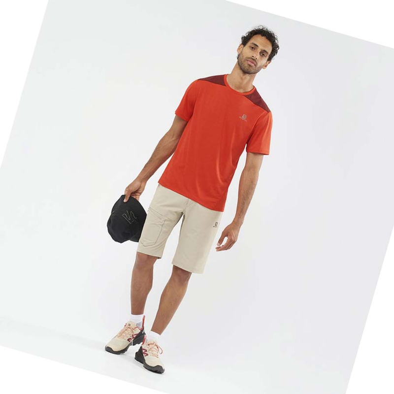 Shorts Salomon WAYFARER Homme Beige | UYGSXNO-87