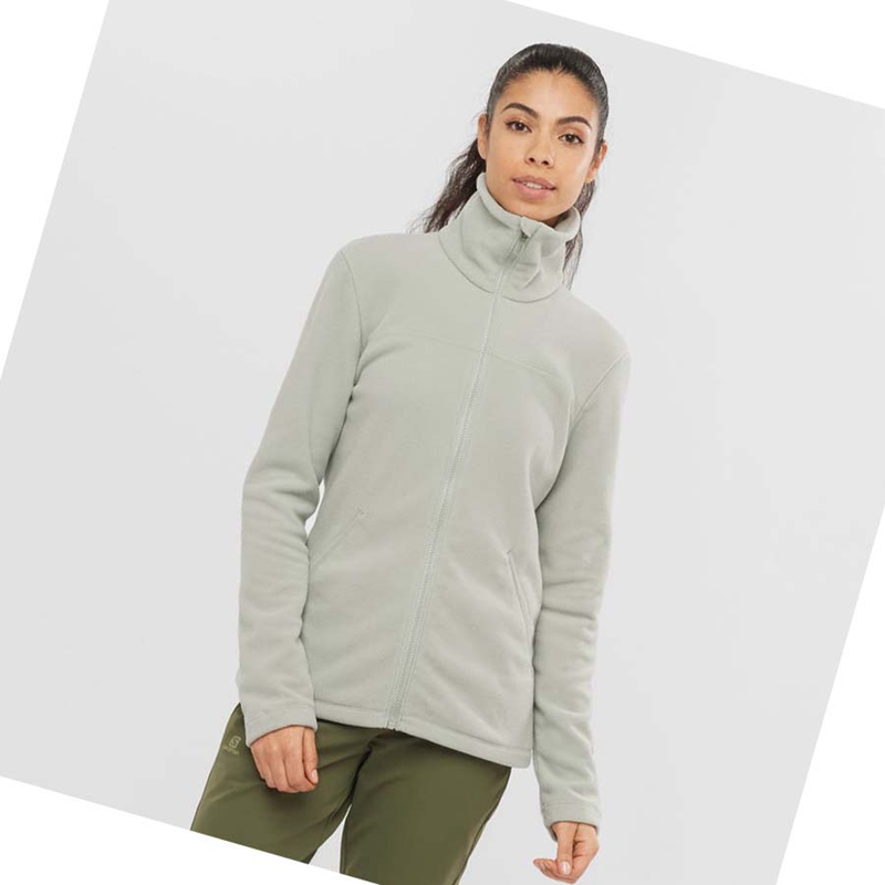 Sweat À Capuche Salomon ESSENTIAL COSY FLEECE Femme Beige | LPKAUCG-06