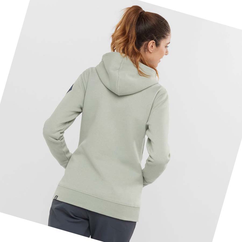 Sweat À Capuche Salomon ESSENTIAL WARM SALOMON Femme Beige | GLBSPIV-05