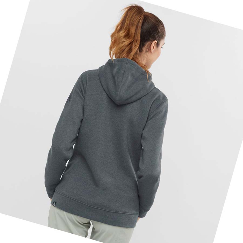 Sweat À Capuche Salomon ESSENTIAL WARM SALOMON Femme Grise | TVNGBRP-89