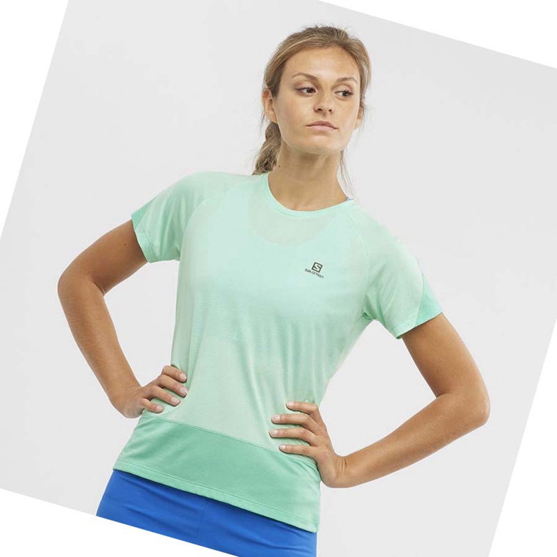 T Shirts Salomon CROSS RUN Femme Vert | QPRAHIB-20