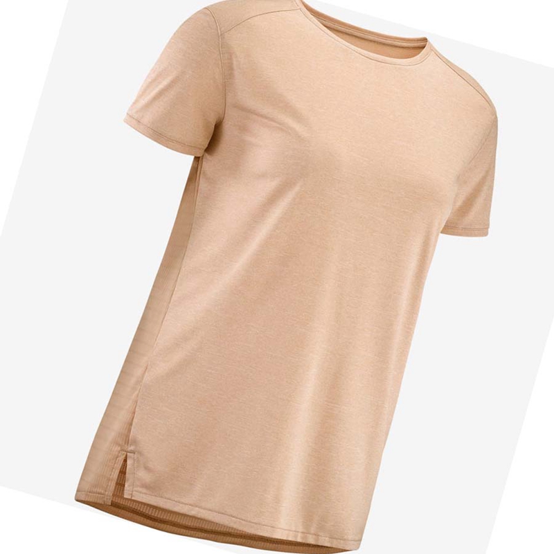 T Shirts Salomon OUTLINE SUMMER Femme Beige | JATMXRW-73