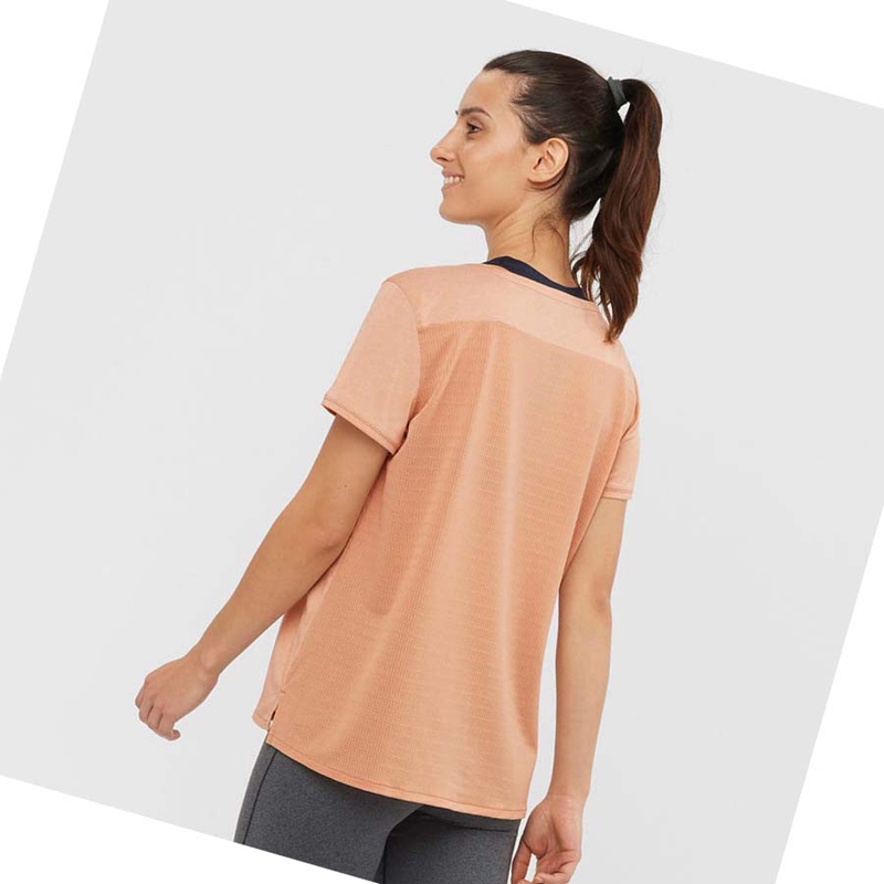 T Shirts Salomon OUTLINE SUMMER Femme Beige | JATMXRW-73