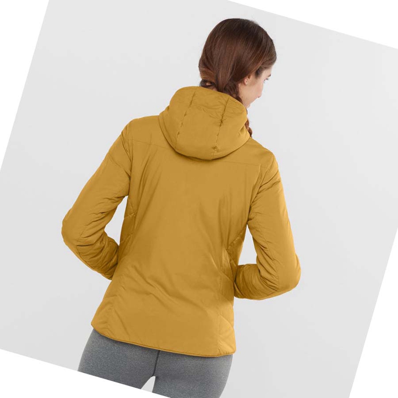 Vestes Salomon OUTRACK INSULATED Femme Jaune | UCYLFIG-80