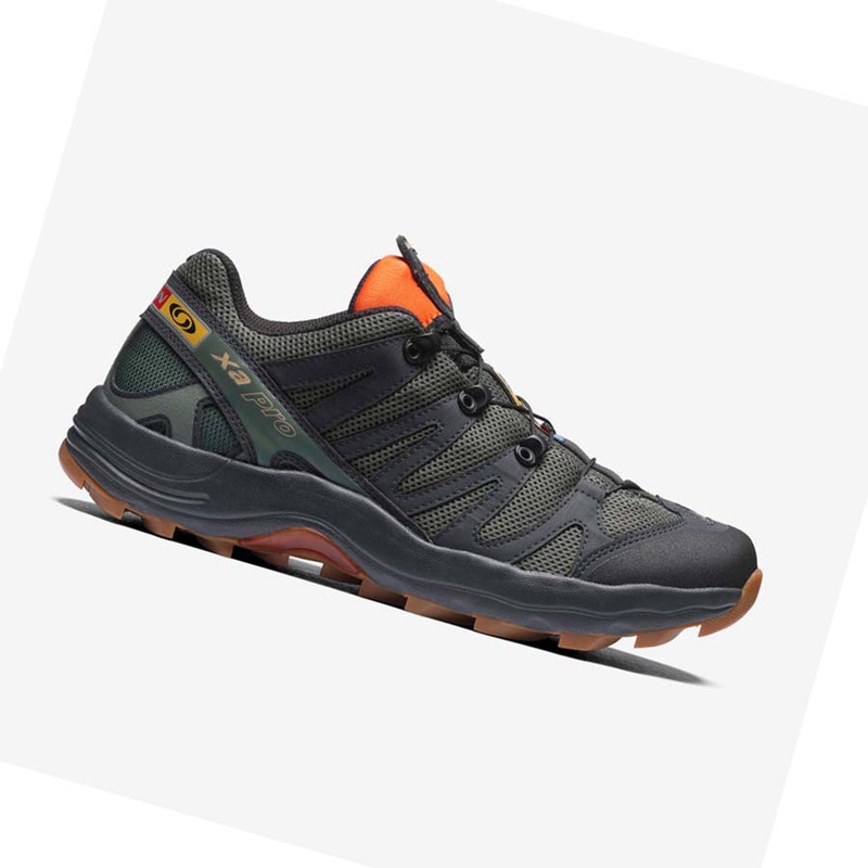 Baskets Salomon XA PRO 1 Femme Grise | AWRNBDX-53