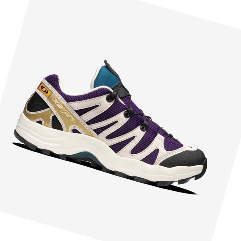 Baskets Salomon XA PRO 1 Homme Violette Chocolat Bleu | HVQCOXT-57