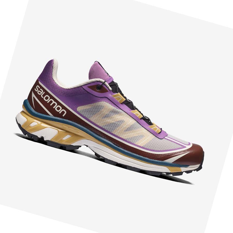 Baskets Salomon XT-6 FT Femme Violette Chocolat | EIMSQJH-92