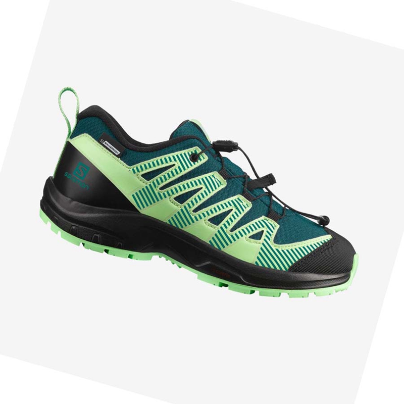 Chaussures Randonnée Salomon XA PRO V8 CLIMASALOMON™ WATERPROOF Enfant Vert | BCKWFZQ-91