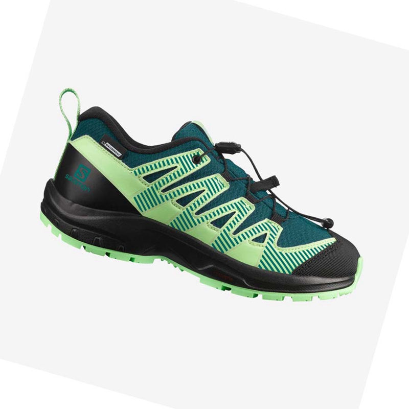 Chaussures Trail Running Salomon XA PRO V8 CLIMASALOMON™ WATERPROOF Enfant Vert | ILVZQUP-85