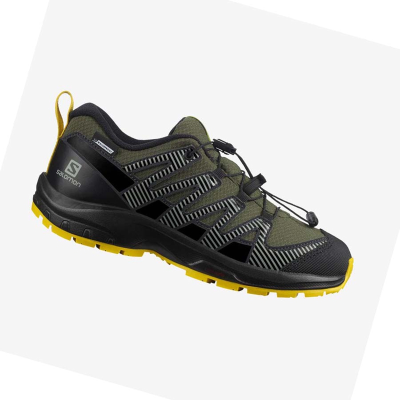 Chaussures Trail Running Salomon XA PRO V8 CLIMASALOMON™ WATERPROOF Enfant Vert Olive | PEXNWZY-62