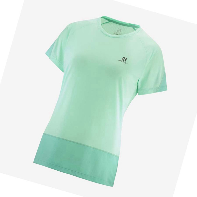 T Shirts Salomon CROSS RUN Femme Vert | QPRAHIB-20